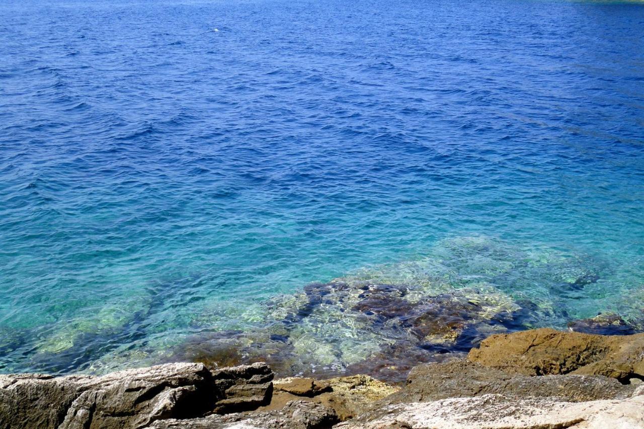 Seaside Secluded Apartments Cove Torac, Hvar - 575 Gdinj المظهر الخارجي الصورة
