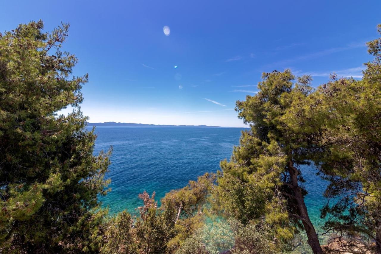 Seaside Secluded Apartments Cove Torac, Hvar - 575 Gdinj المظهر الخارجي الصورة